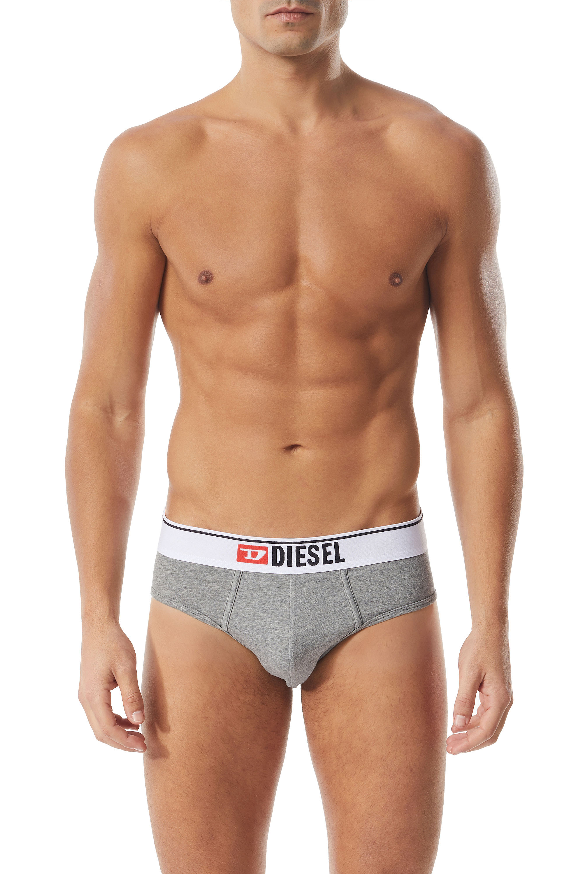 Diesel - UMBR-ANDRE, Man's Briefs with front logo waist in Grey - 1
