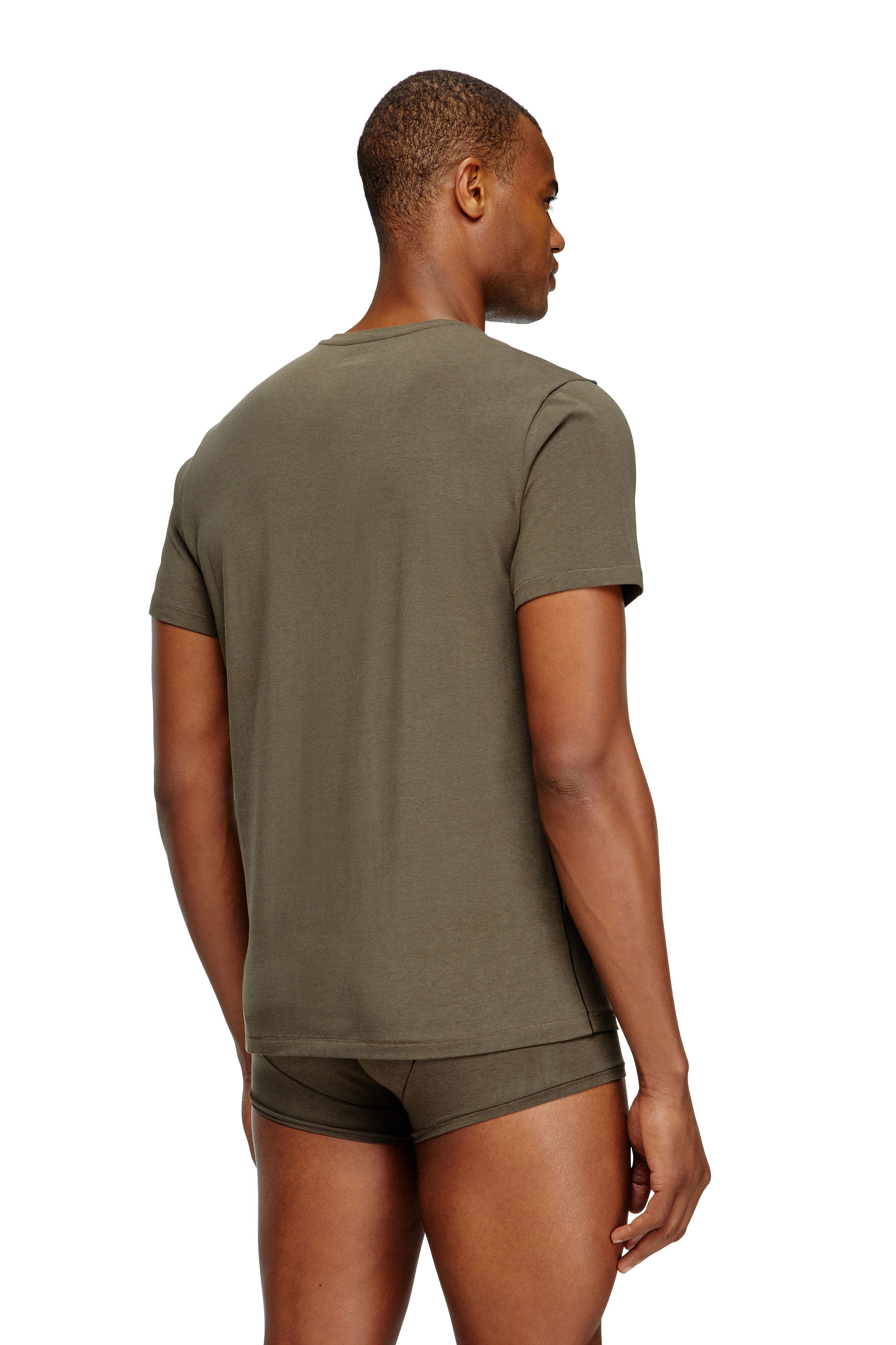 Diesel - RANDAL-D-MONO-2PACK, Man's 2-pack T-shirts in fluid jersey in Green/Blue - 3