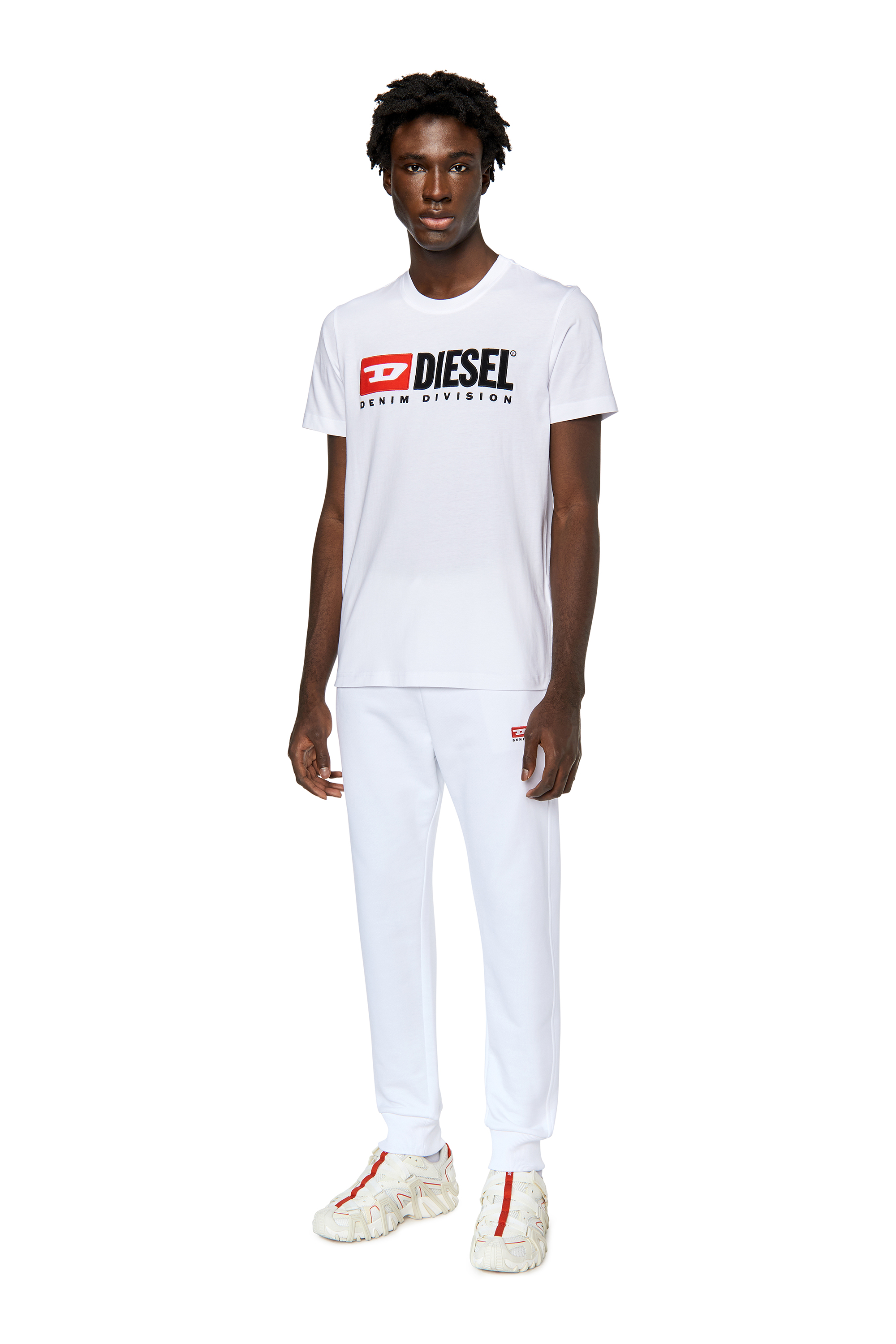 Diesel - T-DIEGOR-DIV, Man's T-shirt with embroidered logo in White - 2