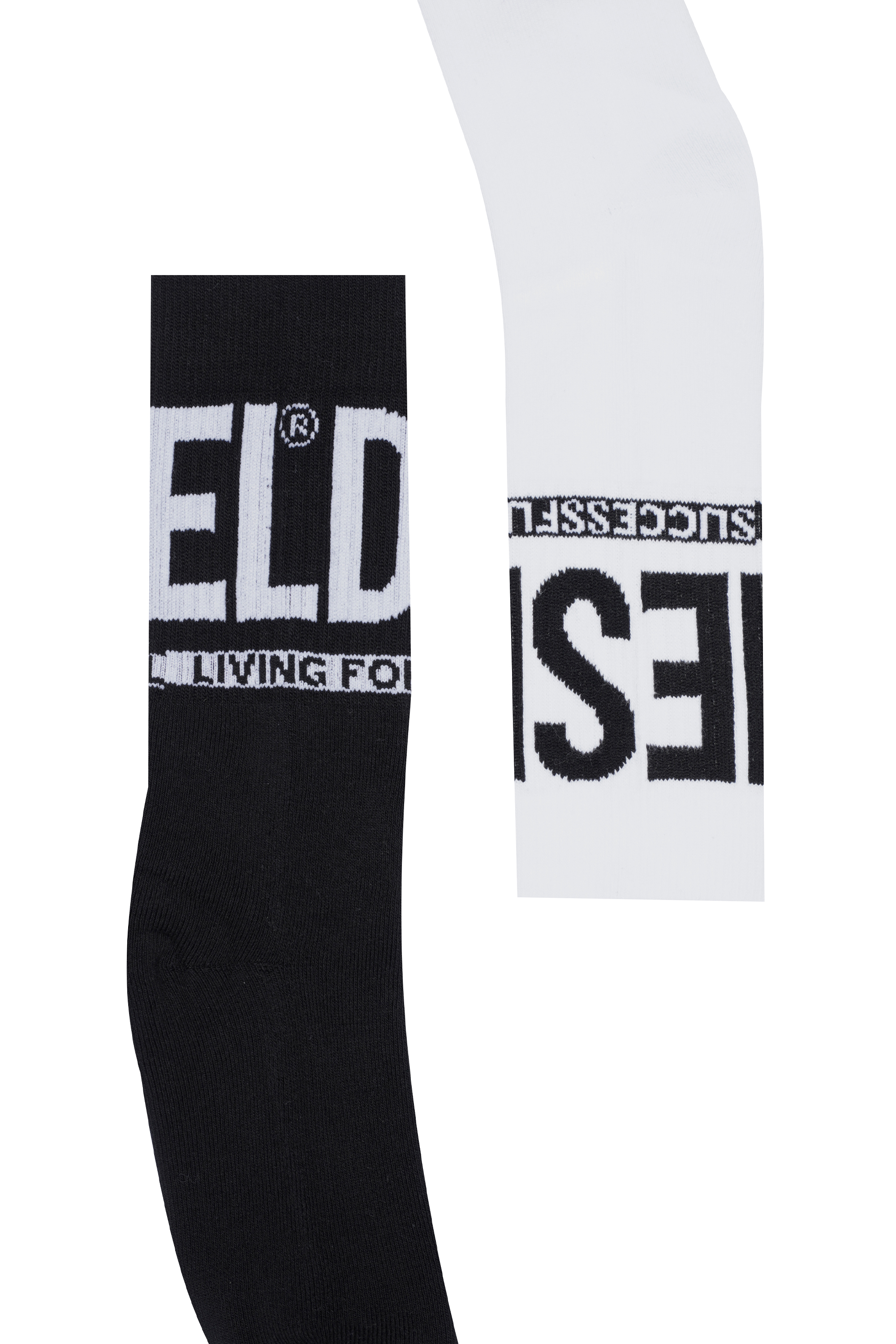 Diesel - SKM-ZRAYBIPACK, Man's Two-pack of socks with logo in Black/White - 2