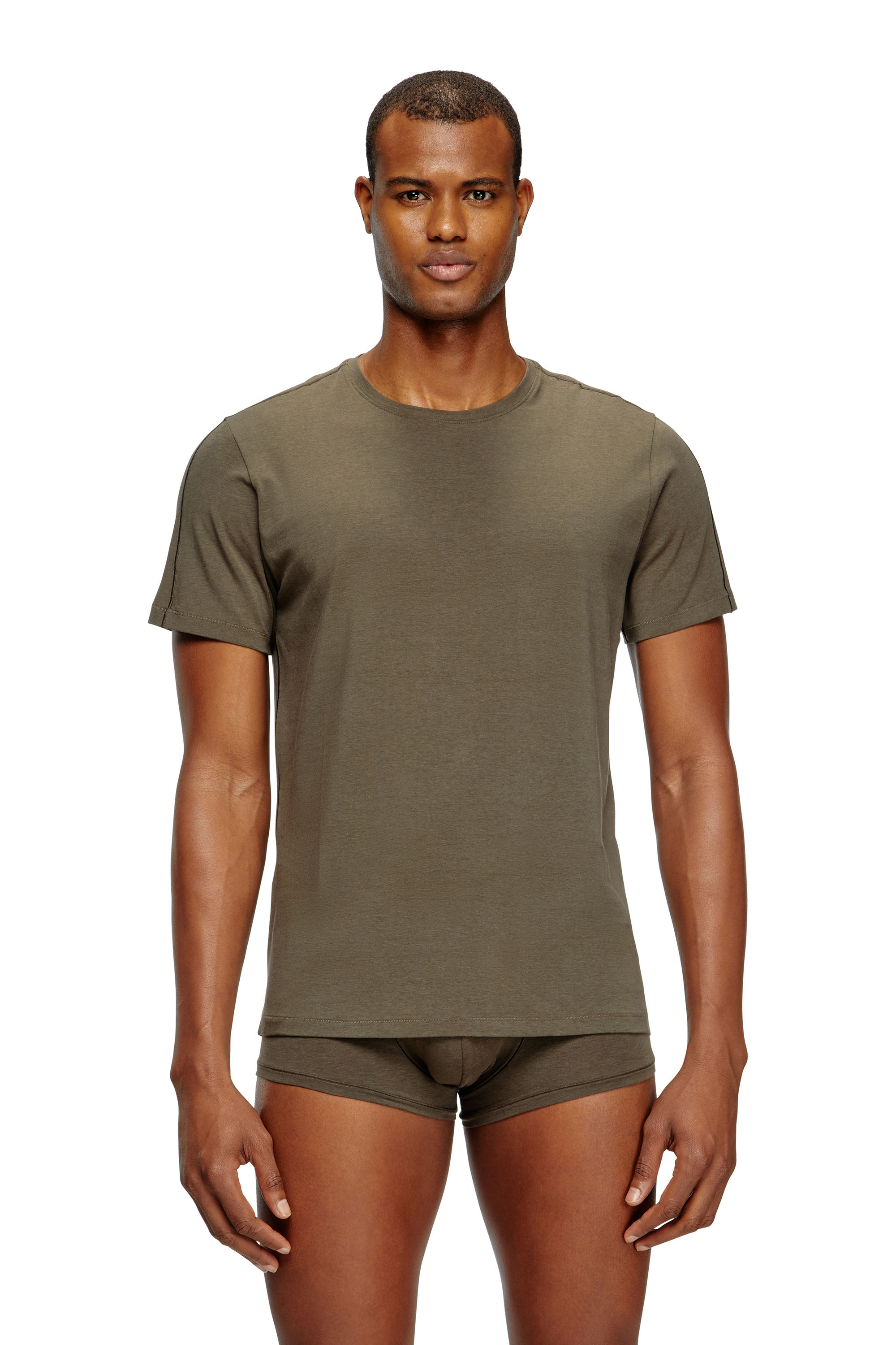 Diesel - RANDAL-D-MONO-2PACK, Man's 2-pack T-shirts in fluid jersey in Green/Blue - 1