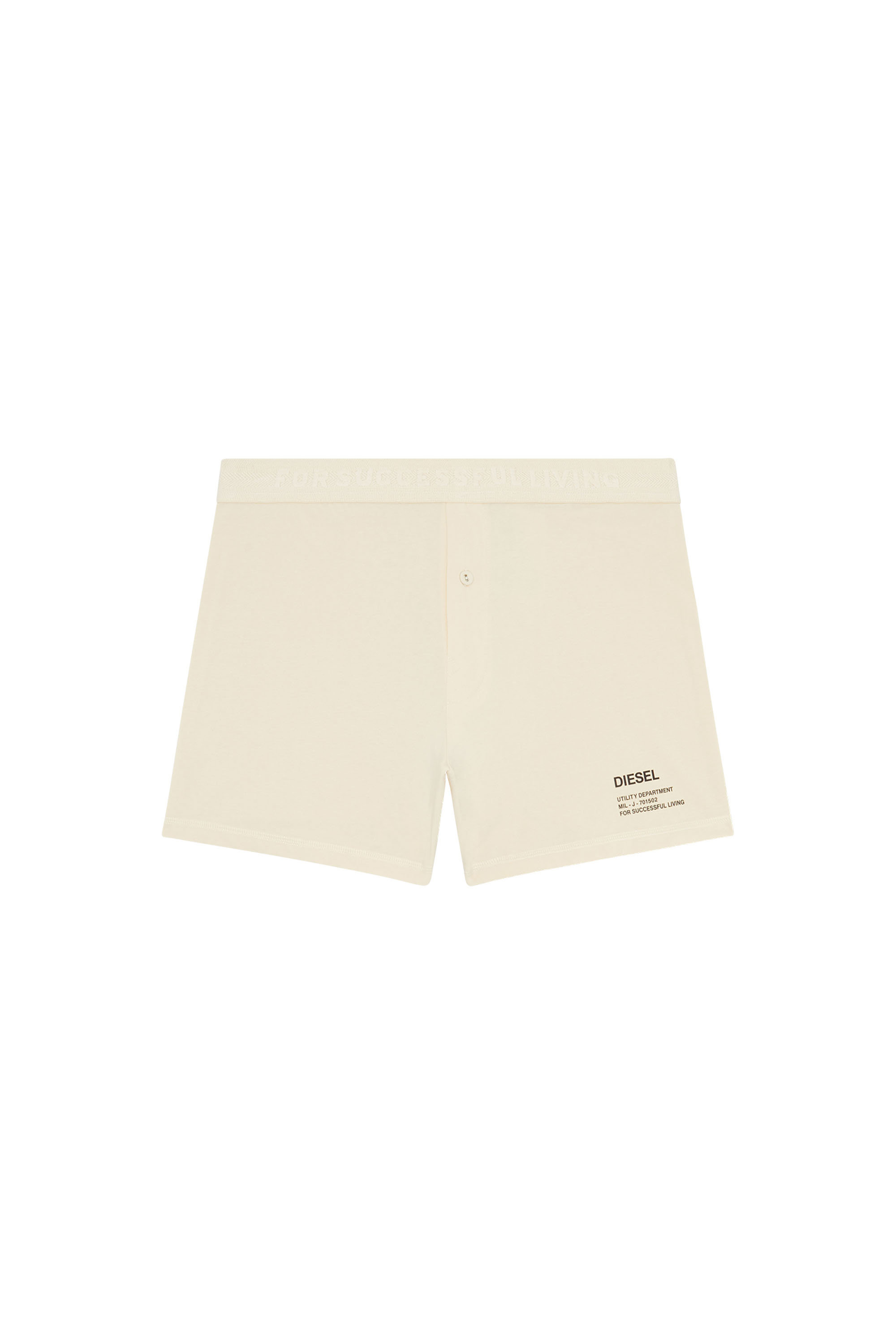 Diesel - UMBX-STARKIE, Man's Boxers with utility logo print in White - 1
