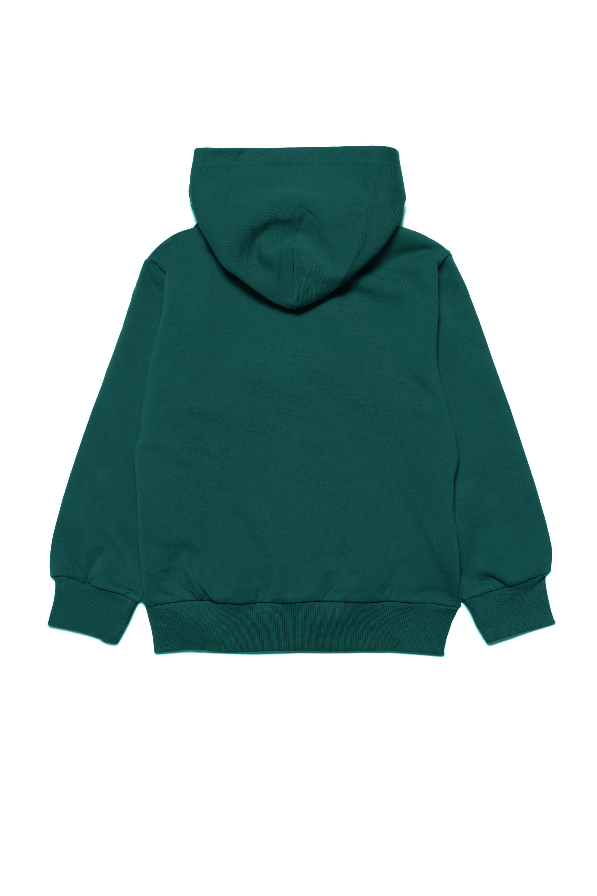 Diesel - LSTEPPIU DI OVER, Unisex's Zip-up hoodie with logo print in Green - 2